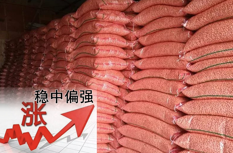 花生價(jià)格持續(xù)偏強(qiáng)，需要訂貨的請(qǐng)?zhí)崆鞍才?></a></div>
                        <div   id=